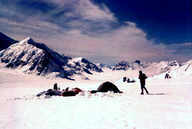 McKin09.jpg (12063 bytes)