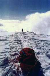 McKin12.jpg (7449 bytes)