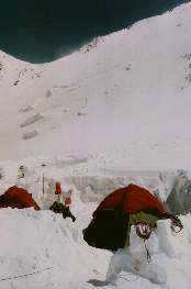 McKin24.jpg (5607 bytes)