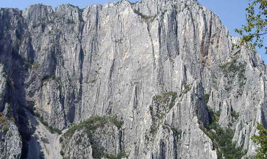 Пътят на приятелите, Враца, 1979